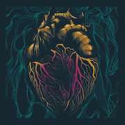 Review: The Shadow Lizzards - Someone’s Heartache